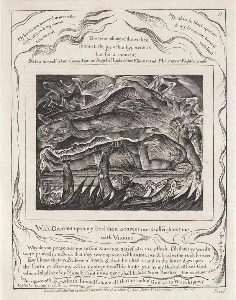 Illustrations Of The Book Of Job Pl 12