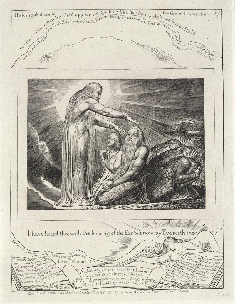 Illustrations Of The Book Of Job Pl 18