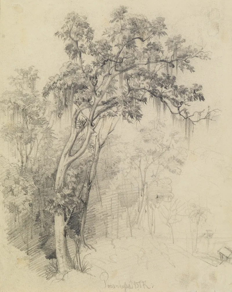 Im Urwald Baumstudie Wall Art by Ferdinand Keller - High-Resolution Digital Print