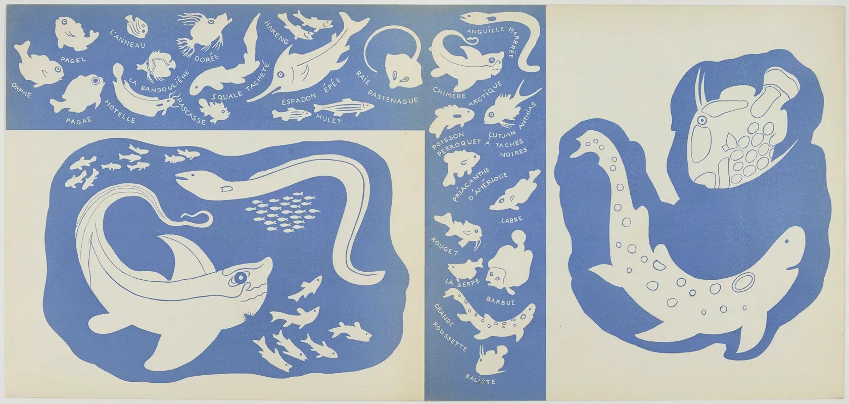 Images A Colorier Des Poissons Pl 08 Wall Art by Elena Pavlovna Gertik - High-Resolution Digital Print