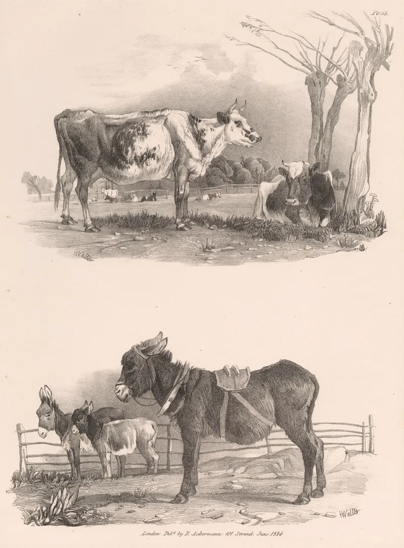 Images Of Livestock Plate 15 Wall Art by Henry Walter - High-Resolution Digital Print