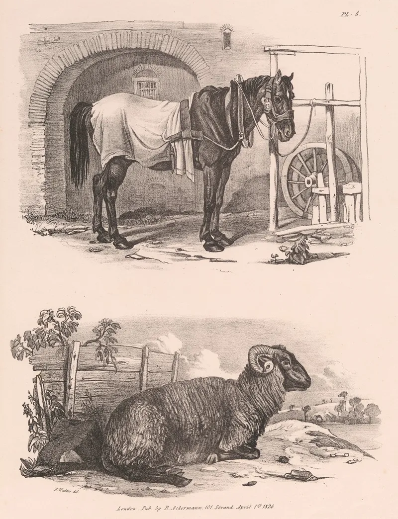 Images Of Livestock Plate 5 Wall Art by Henry Walter - High-Resolution Digital Print