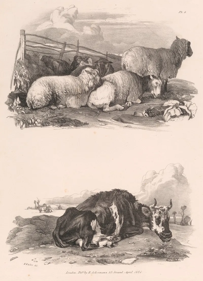 Images Of Livestock Plate 6 Wall Art by Henry Walter - High-Resolution Digital Print