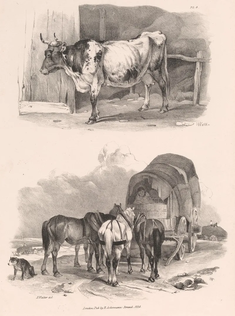 Images Of Livestock Plate 8 Wall Art by Henry Walter - High-Resolution Digital Print
