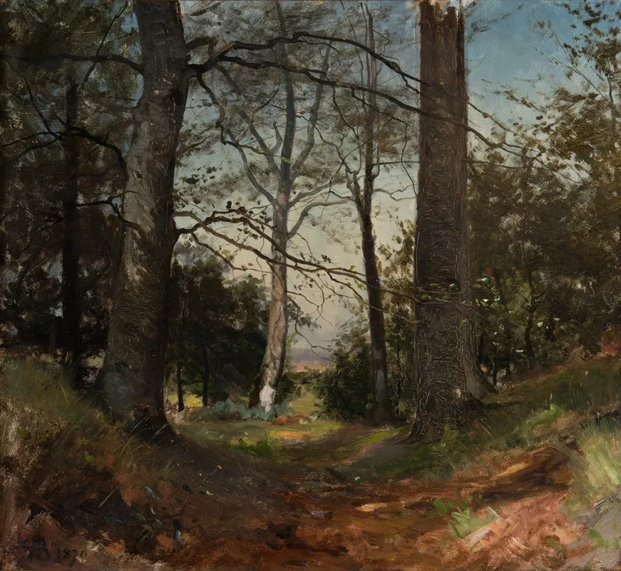 In The Forest Motif From Stehag Skane
