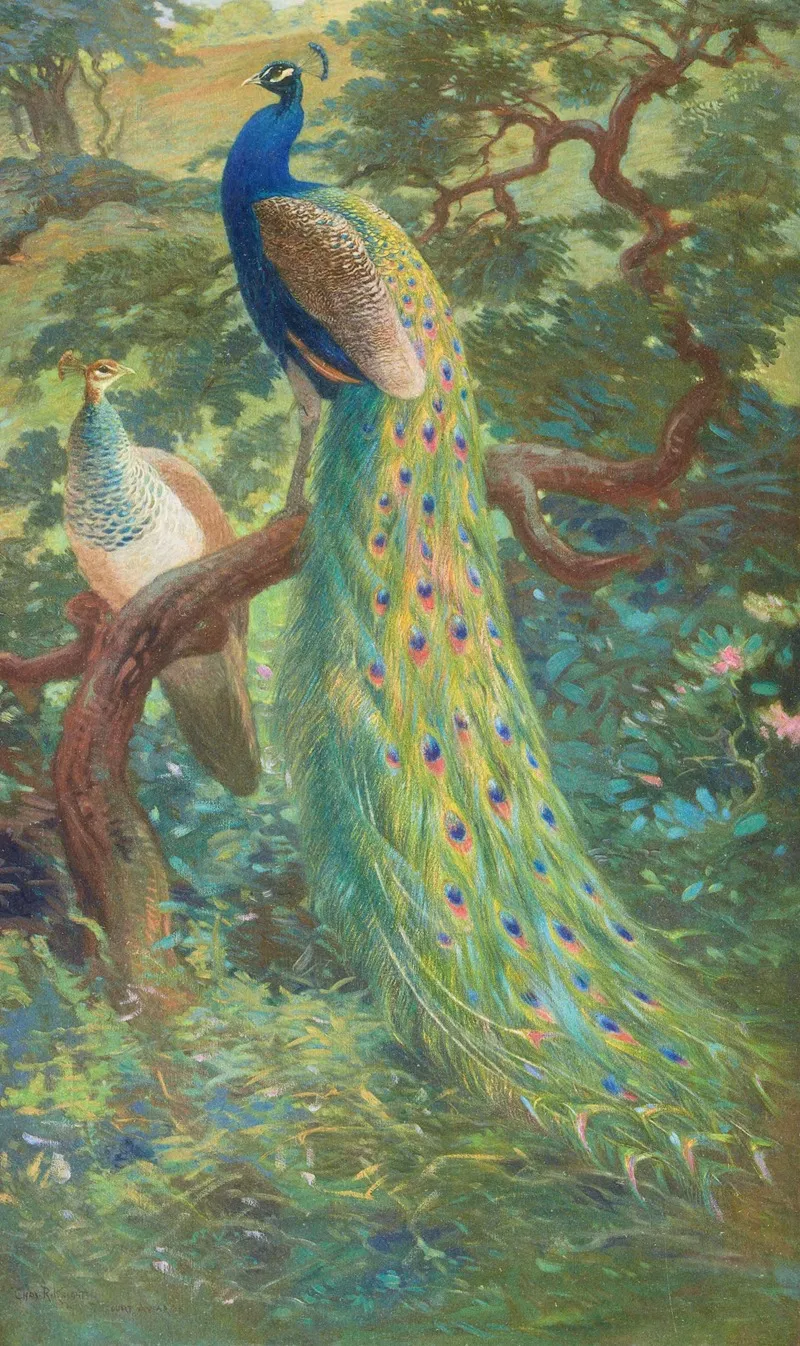 Indian Peafowl Wall Art by Charles Robert Knight - High-Resolution Digital Print