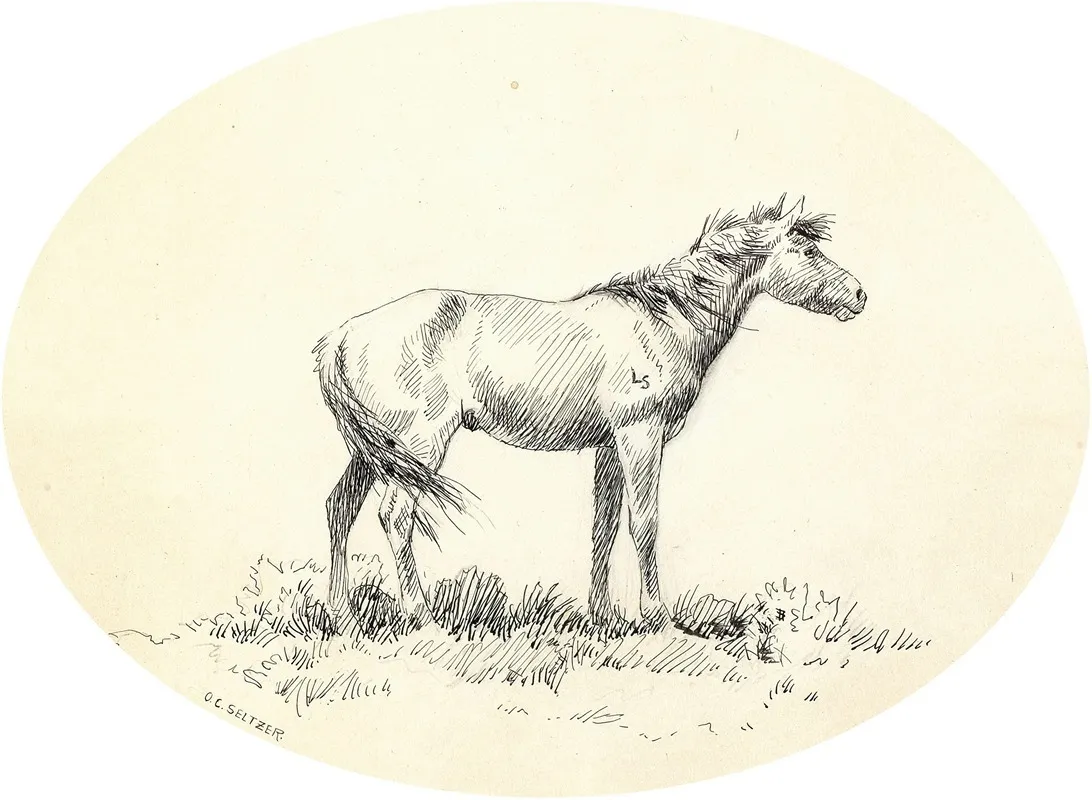Indian Pony Wall Art by Olaf C. Seltzer - High-Resolution Digital Print