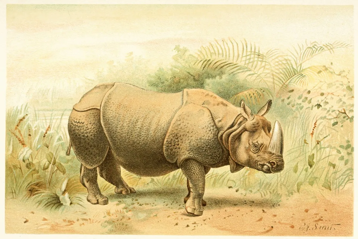 Indian Rhinoceros Wall Art by Pierre Jacques Smit - High-Resolution Digital Print