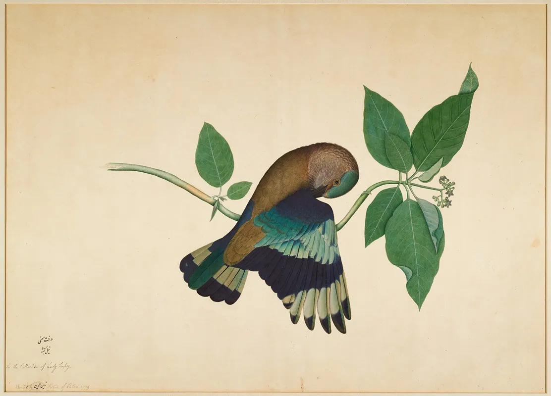 Indian Roller On Sandlewood Branch Wall Art by Sheikh Zain al-Din - High-Resolution Digital Print
