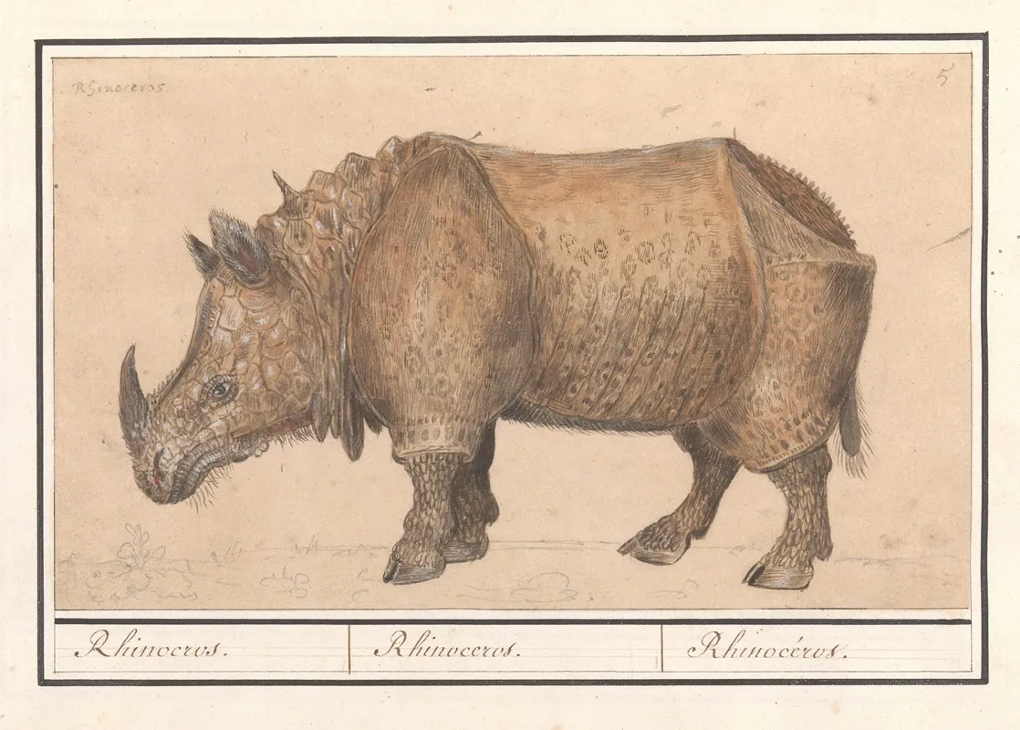 Indische Neushoorn Rhinoceros Unicornis Rhinocerus Rhinoceros Rhinoceros 2 Wall Art by Anselmus Boëtius de Boodt - High-Resolution Digital Print