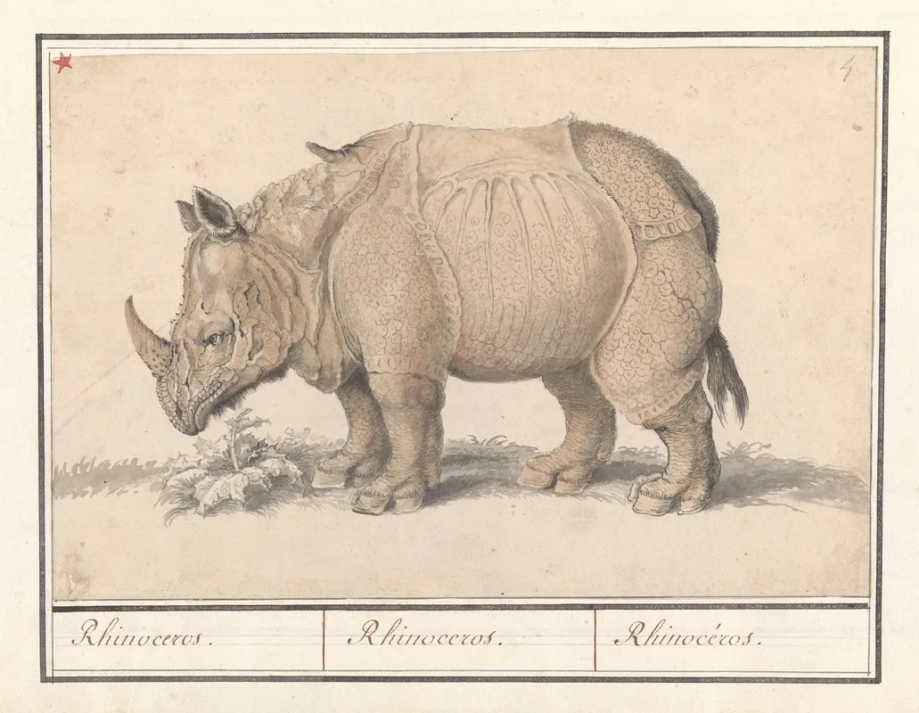 Indische Neushoorn Rhinoceros Unicornis Rhinocerus Rhinoceros Rhinoceros Wall Art by Anselmus Boëtius de Boodt - High-Resolution Digital Print
