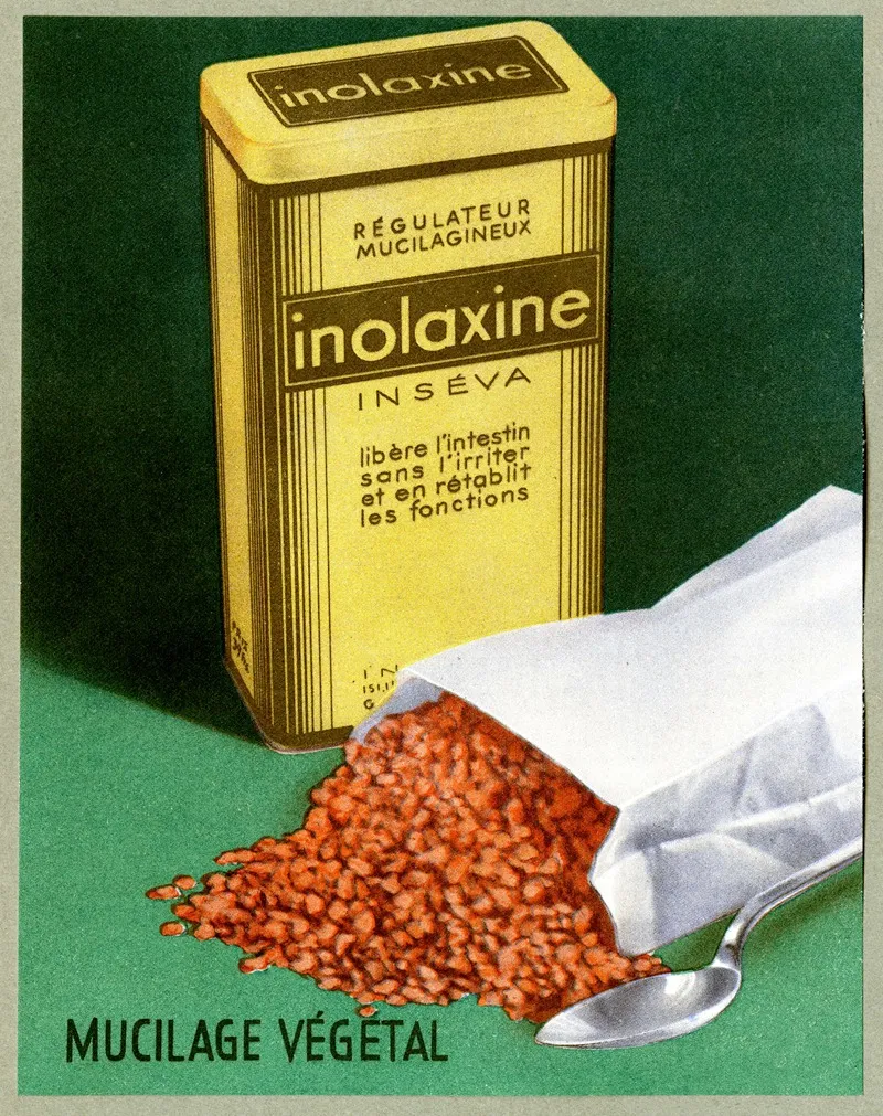 Inolaxine Wall Art by Anonymous - High-Resolution Digital Print
