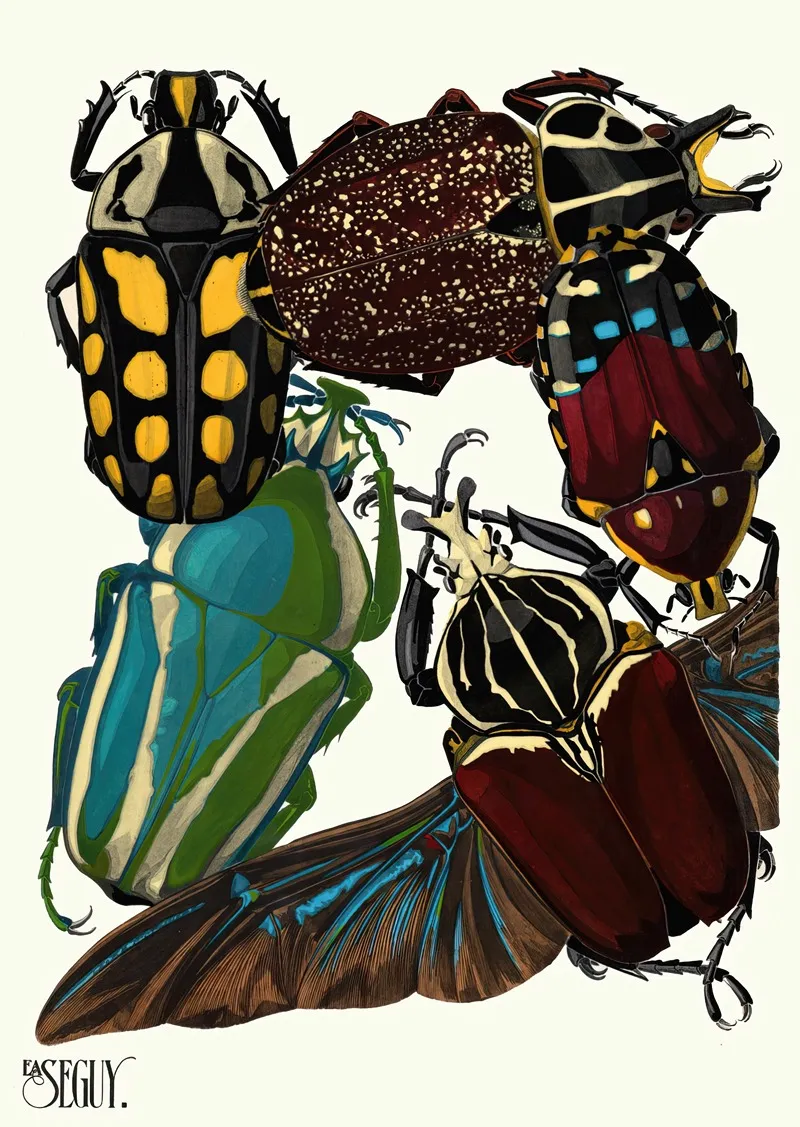 Insectes Pl 03