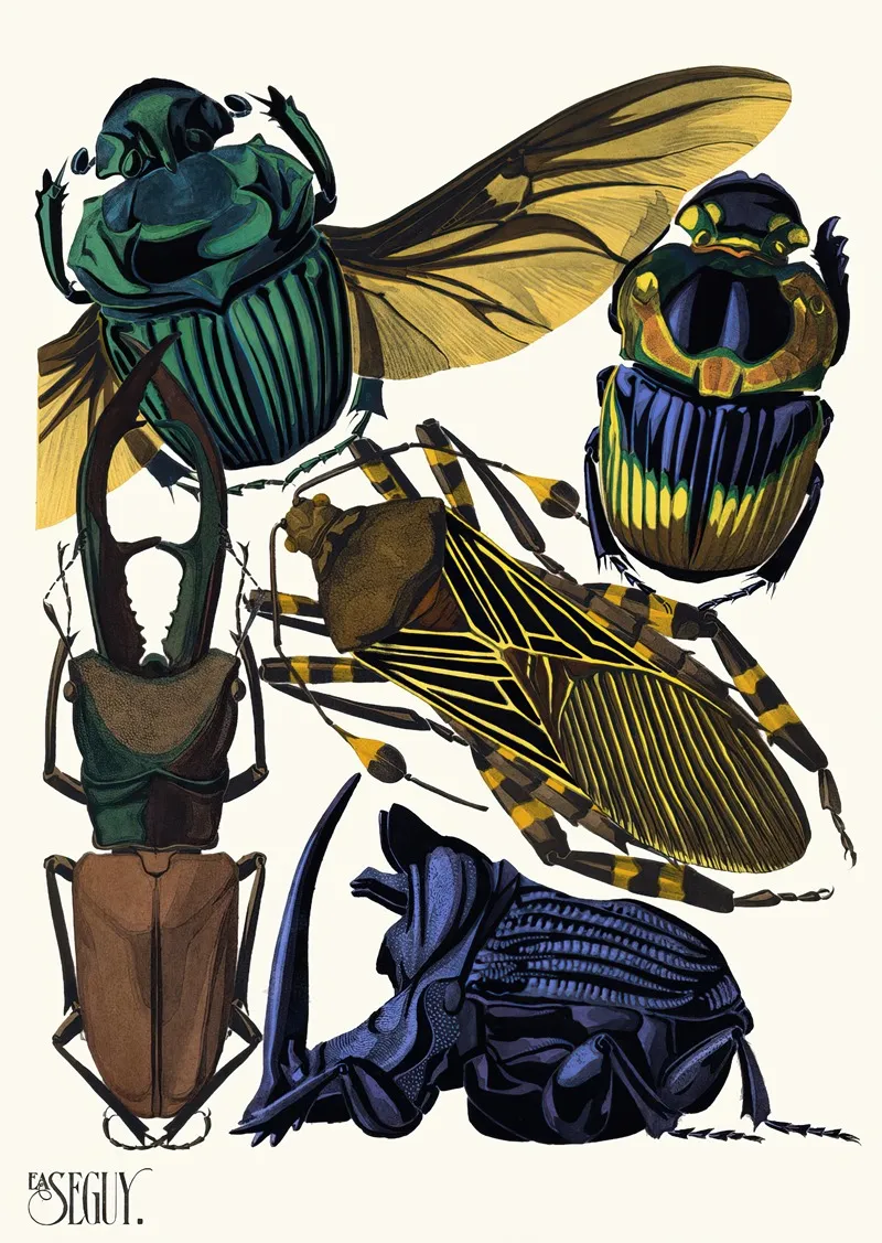 Insectes Pl 07
