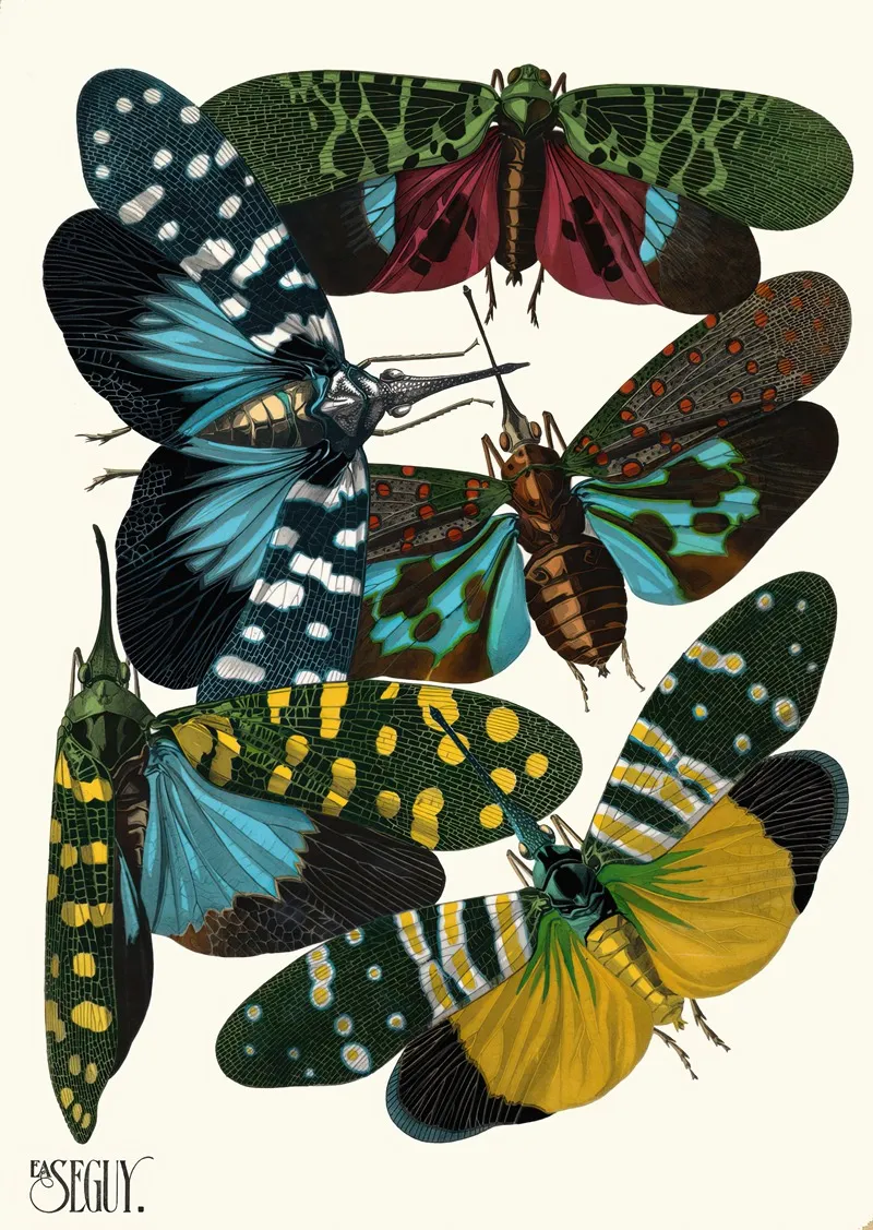 Insectes Pl 08