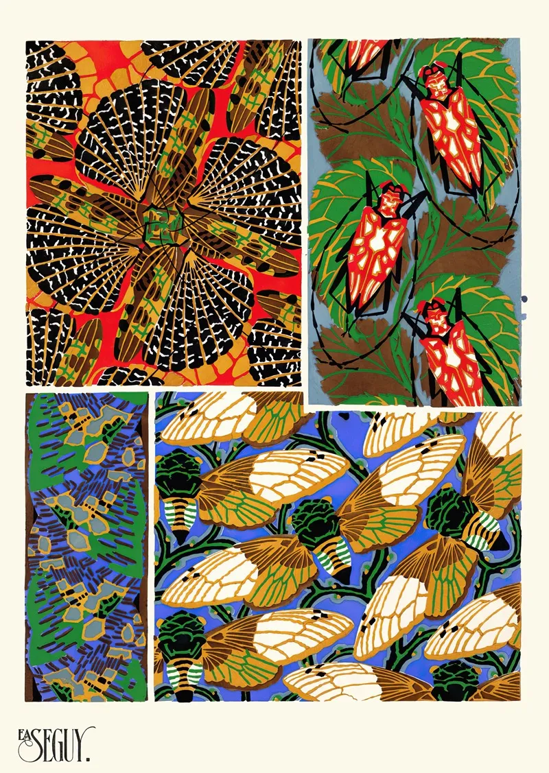 Insectes Pl 11