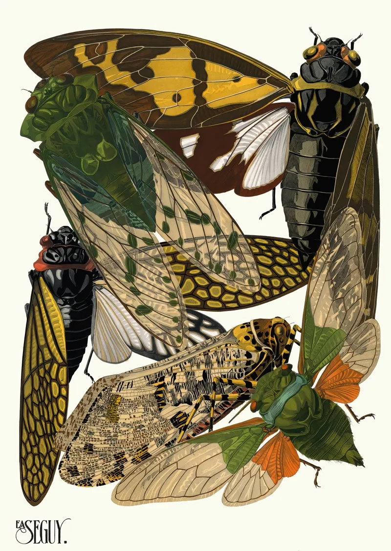 Insectes Pl 12