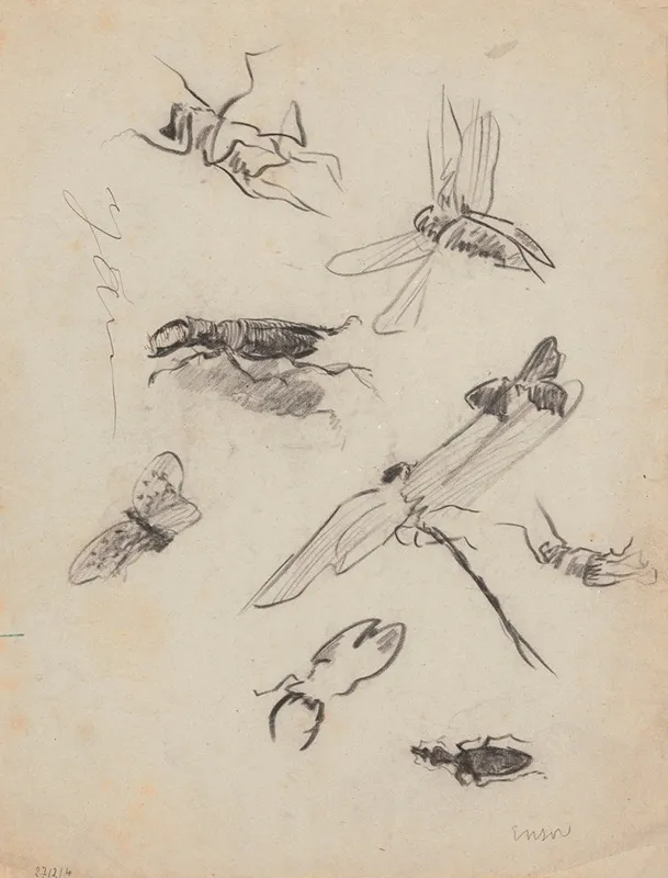Insects 2