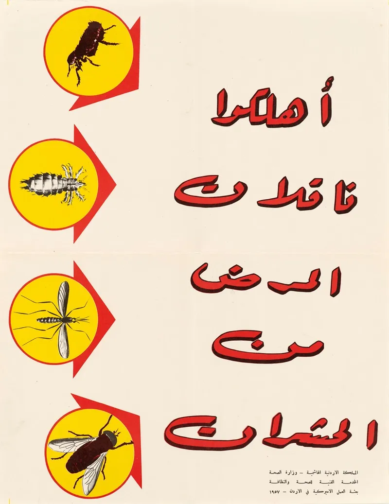 Insects 3