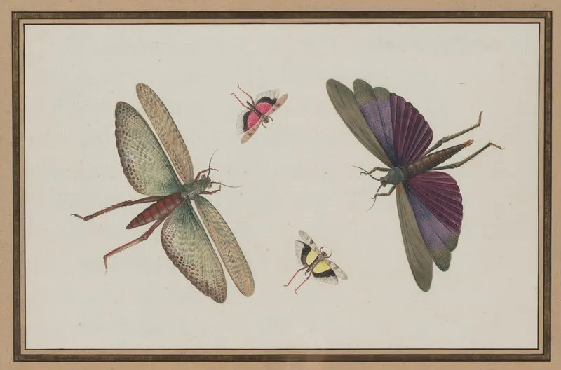 Insects 7 Wall Art by Nicolaas Struyk - High-Resolution Digital Print