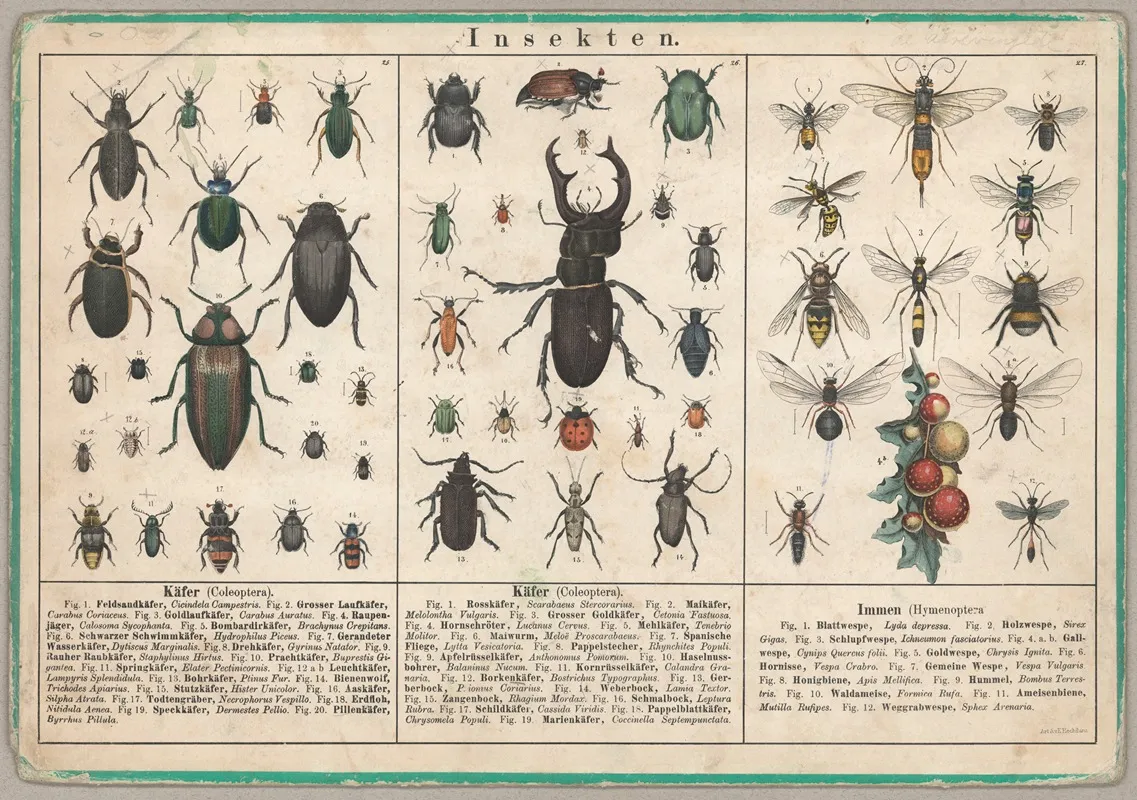 Insekten 3