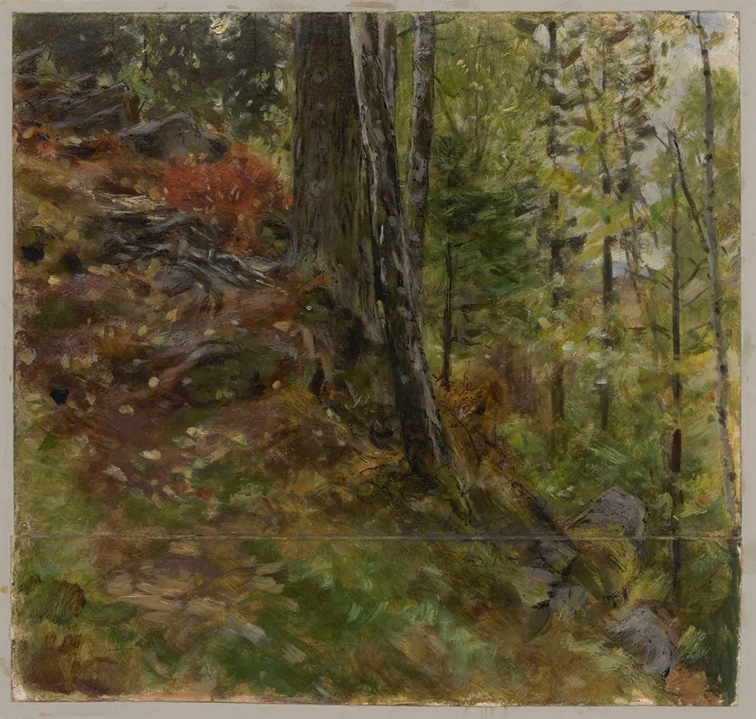 Inside A Forest 5 Wall Art by Johannes Graf - High-Resolution Digital Print