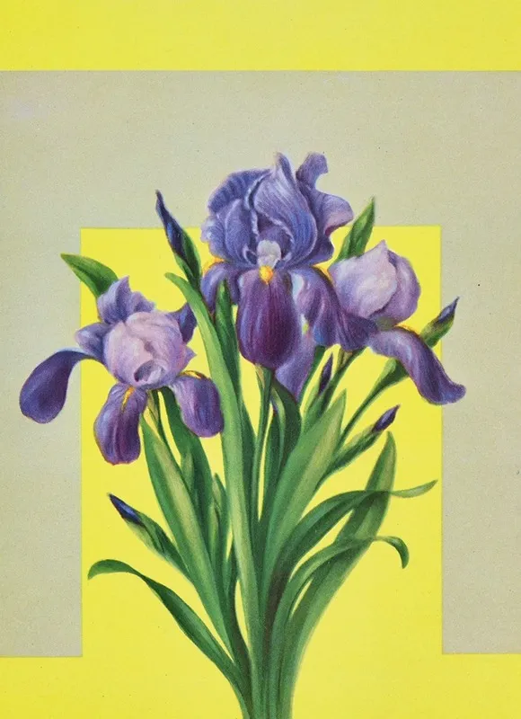Iris 17 Wall Art by Lafayette F. Cargill - High-Resolution Digital Print