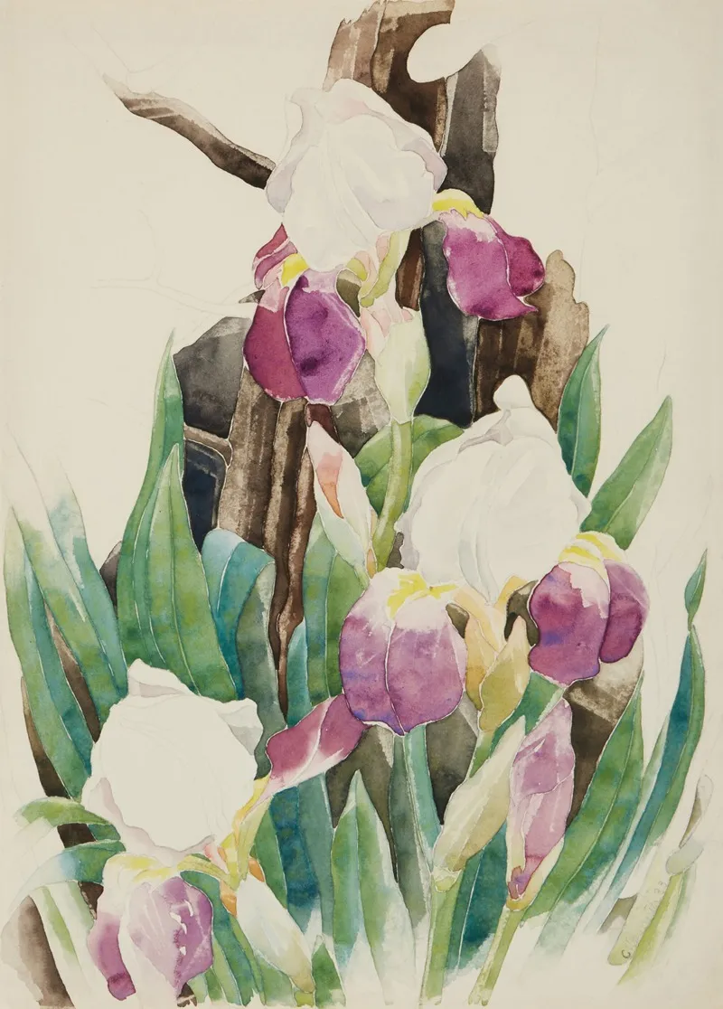 Iris 26 Wall Art by Charles Demuth - High-Resolution Digital Print