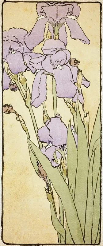 Iris 9