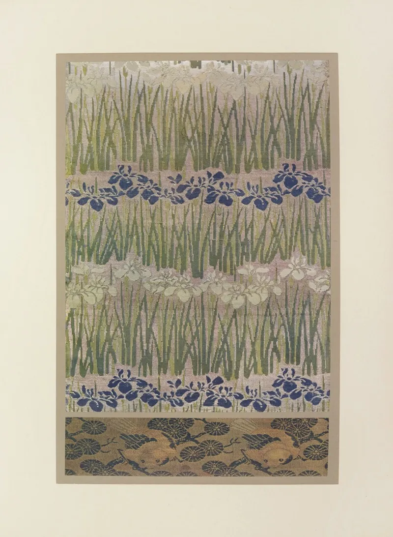Iris Bleus Et Blancs Oiseaux Dans Les Pres