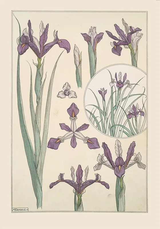 Iris Wall Art by Maurice Pillard Verneuil - High-Resolution Digital Print