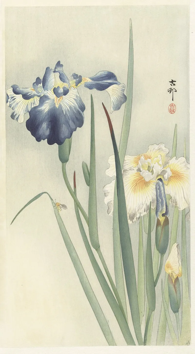 Irises 2 Wall Art by Ohara Koson - High-Resolution Digital Print