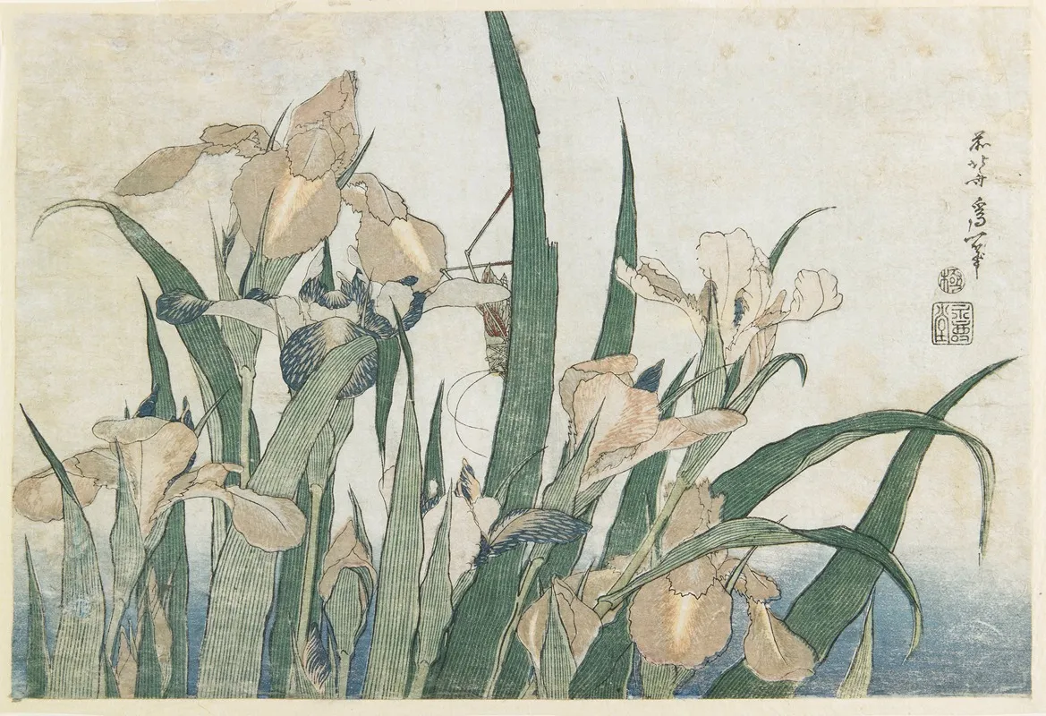 Irises And Grasshopper Wall Art by Katsushika Hokusai - High-Resolution Digital Print