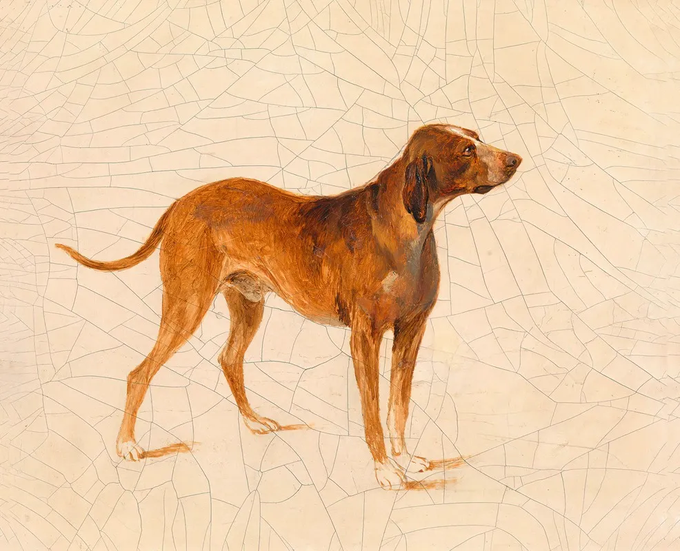 Jagdhund
