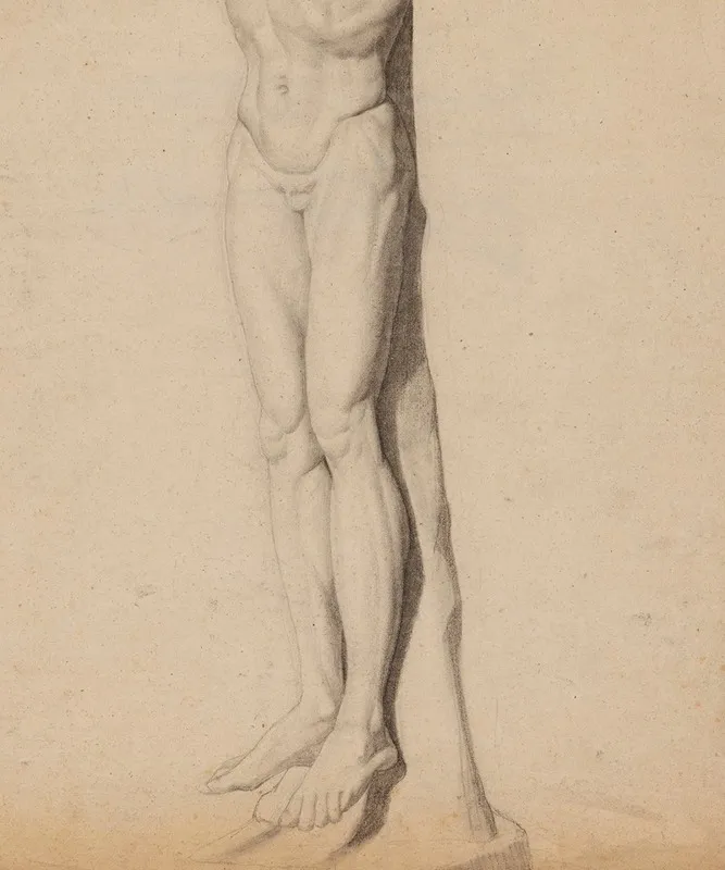 Jambes Et Bas Dun Torse Dhomme
