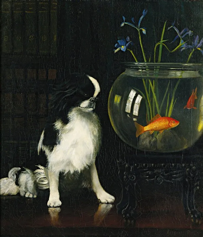 Japanese Chin And Goldfish Wall Art by Alexander Pope Jr. - High-Resolution Digital Print