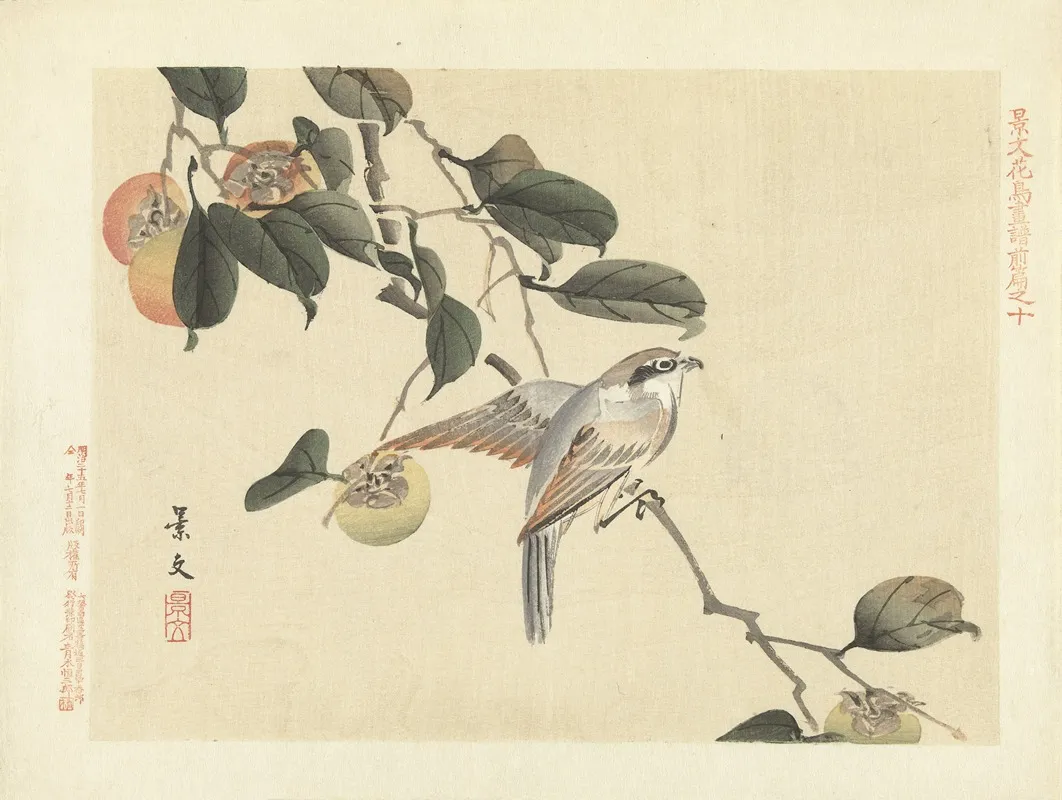 Japanese Persimmon And Bull Headed Shrike Wall Art by Matsumura Keibun - High-Resolution Digital Print