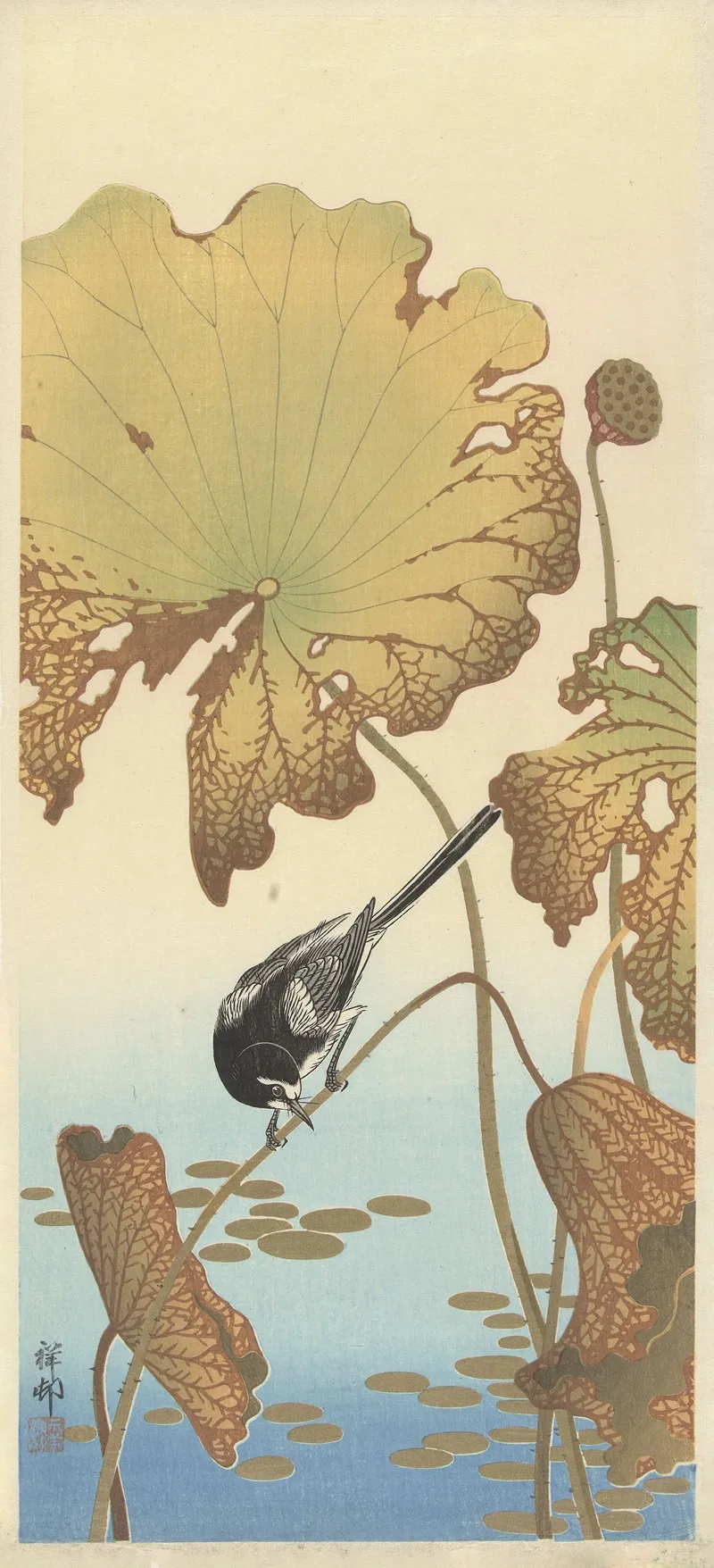 Japanese Wagtail On Lotus Plant Wall Art by Ohara Koson - High-Resolution Digital Print