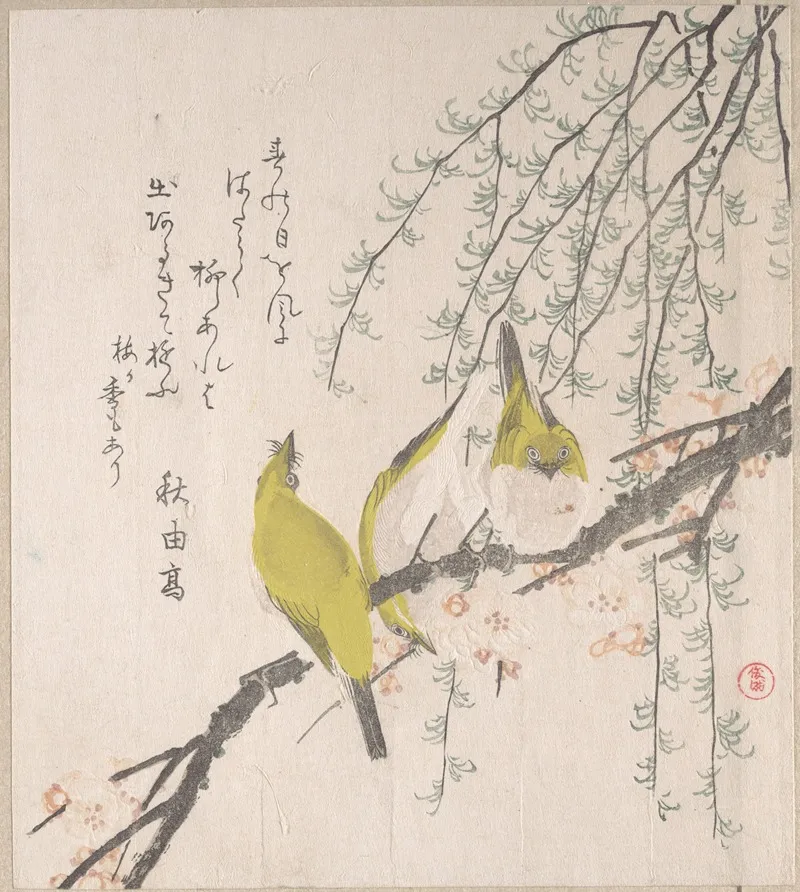 Japanese White Eyes With Plum Tree And Willow From Spring Rain Surimono Album Harusame Surimono Jo Vol 3