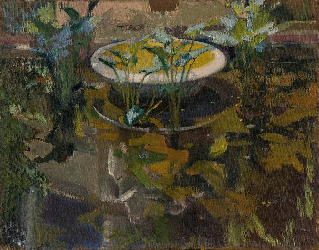 Jardin De La Casa Sorolla Reflejo En Fuente De Las Confidencias Garden At The Artists House Reflections In The Fountain Of Confidences