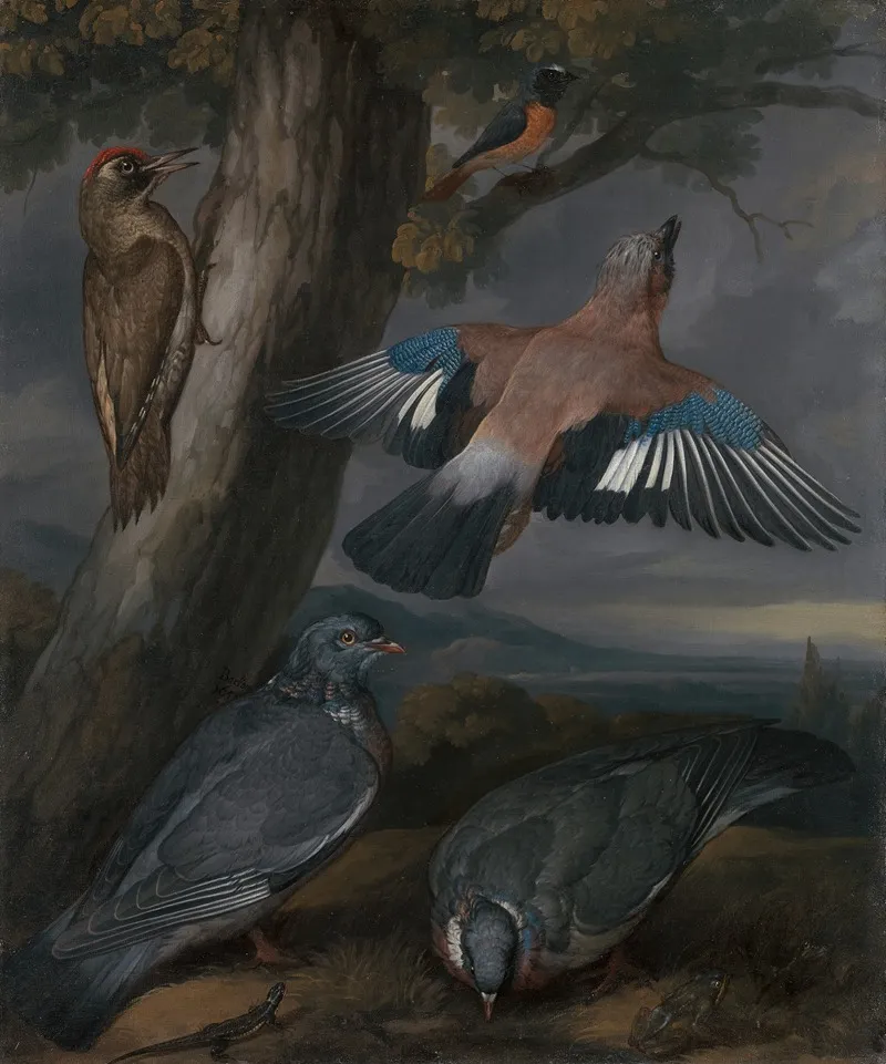 Jay Green Woodpecker Pigeons And Redstart Landscape With A Green Woodpecker A Jay Two Pigeons A Redstart A Lizard And Two Frogs