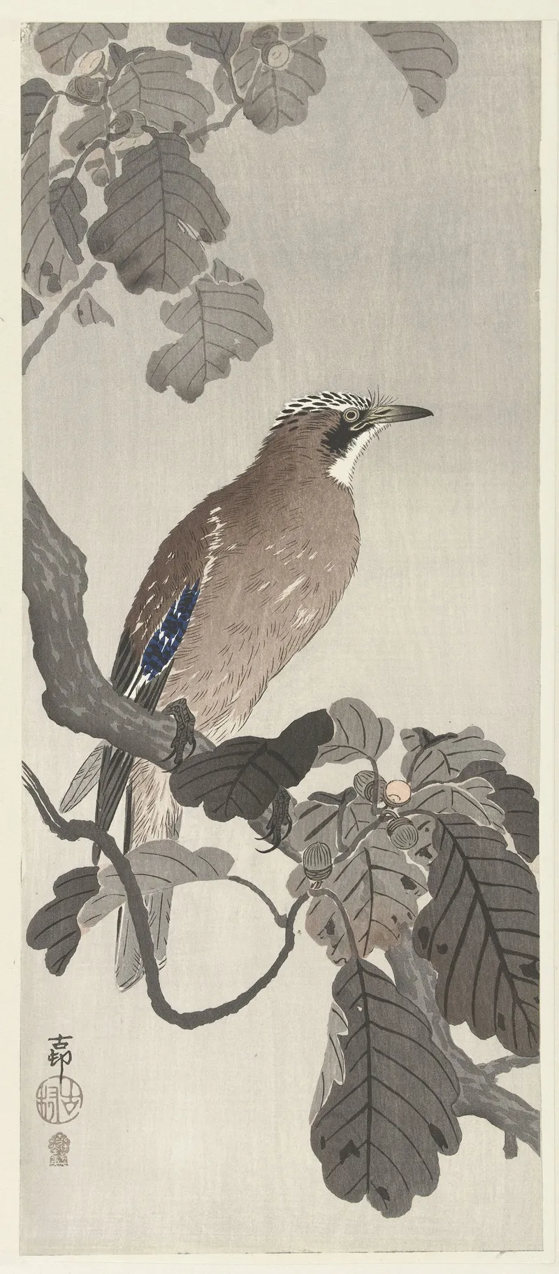 Jay On Tree Branch Wall Art by Ohara Koson - High-Resolution Digital Print