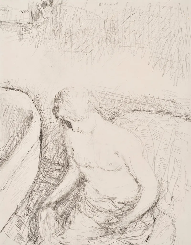 Jeune Femme A Sa Toilette 3 Wall Art by Pierre Bonnard - High-Resolution Digital Print
