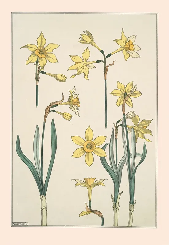 Jonquille Wall Art by Maurice Pillard Verneuil - High-Resolution Digital Print