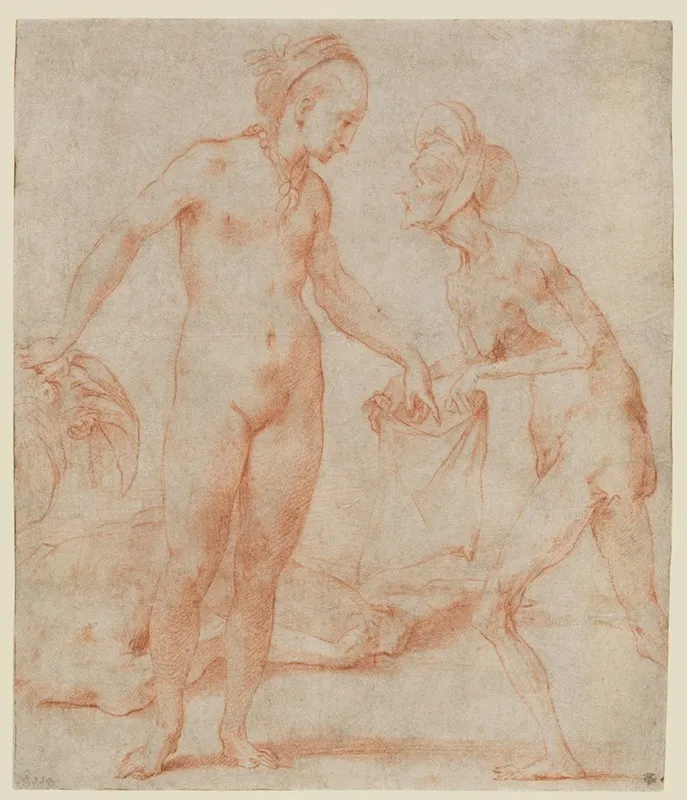 Judith With The Head Of Holofernes 20 Wall Art by Rosso Fiorentino - High-Resolution Digital Print