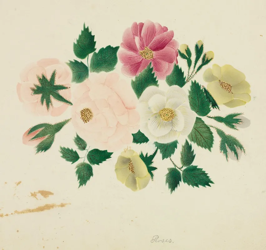 June Roses 2 Wall Art by Mary Altha Nims - High-Resolution Digital Print