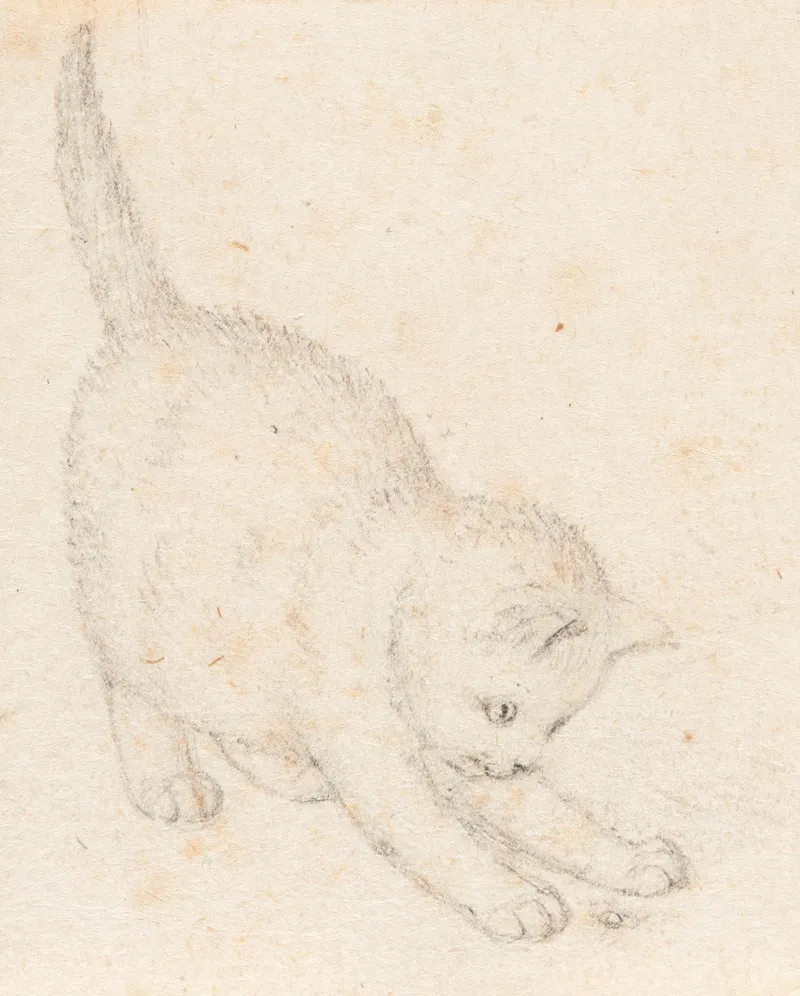 Junge Katze Wall Art by Gottfried Mind - High-Resolution Digital Print