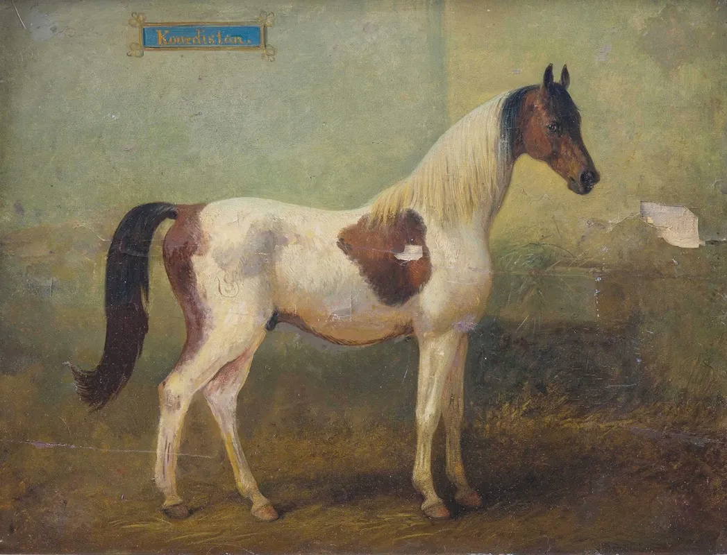 Junger Gefleckter Hengst Im Stall Wall Art by Alois Bach - High-Resolution Digital Print