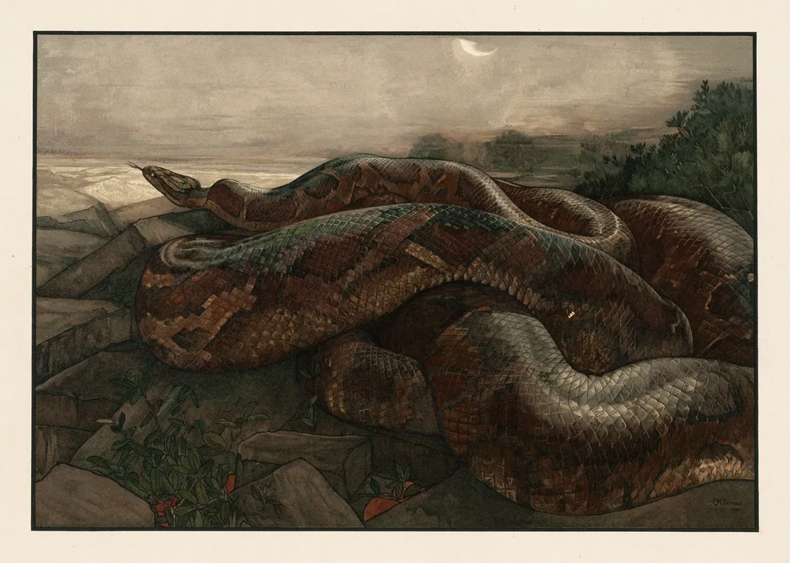 Kaa The Python 2 Wall Art by Charles Maurice Detmold - High-Resolution Digital Print