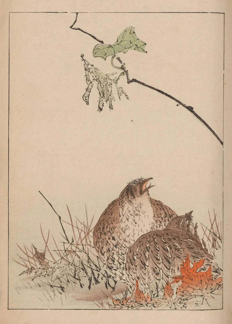 Kacho Gafu Pl 12 Wall Art by Kōtei Fukui - High-Resolution Digital Print